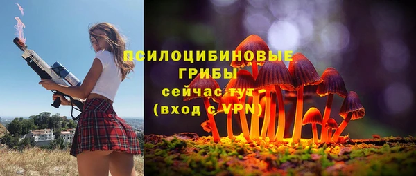 дмт Верхний Тагил